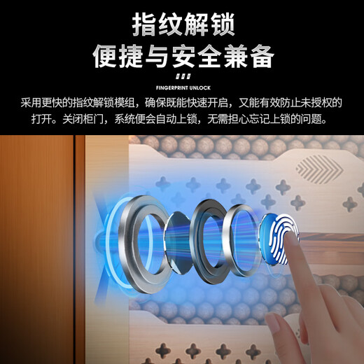 CIGARLOONG CL-80C2 cigar cabinet with constant temperature and humidity, cedar wood lining, cholesterol-rich water, ionized ammonia removal, smart WiFi control compressor cabinet, stainless steel cabinet, fingerprint lock, cigar moisturizing cabinet, rose gold cedar wood lining, WiFi+purifying ammonia+fingerprint lock