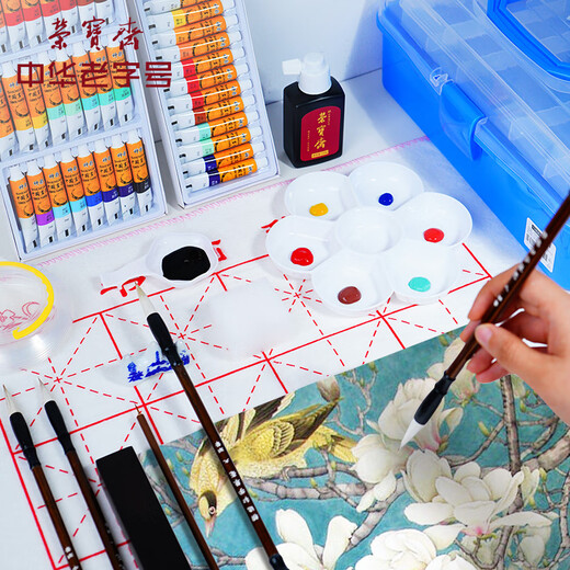 Rongbaozhai Chinese painting paint tool set for beginners, primary school students, children's ink painting, Chinese painting and hair brush entry-level set, 24 colors, practical 15-piece set (including storage box)