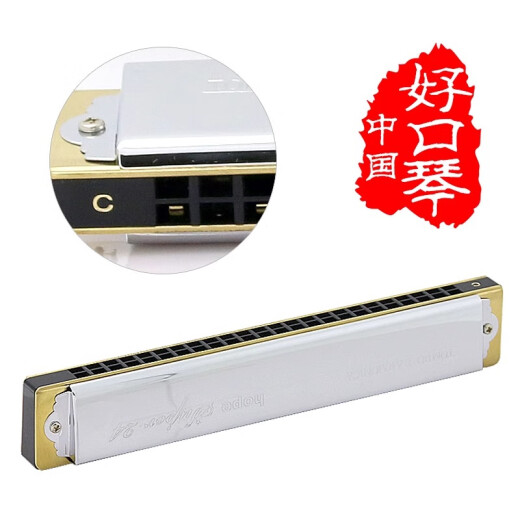Tongbao Japon Tongbao 6624s Adult Harmonica Performance professionnelle Étudiants Advanced 24 trous Polonicon Harmonica 12-Tuning Set 12-Tuning Set + Bag de piano d'origine