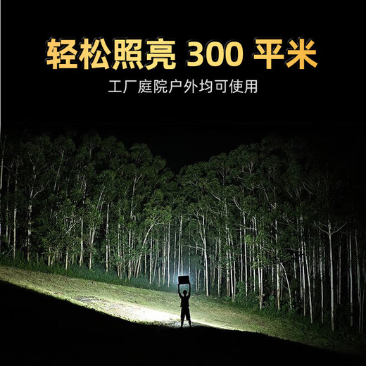 Deyan led floodlight outdoor lighting waterproof outdoor spotlight industrial lighting high power factory street light 200W-white light high brightness model