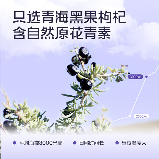 百瑞源出品 黑枸杞原浆30ml 青海黑枸杞子鲜榨枸杞汁原液 液态更好吸收