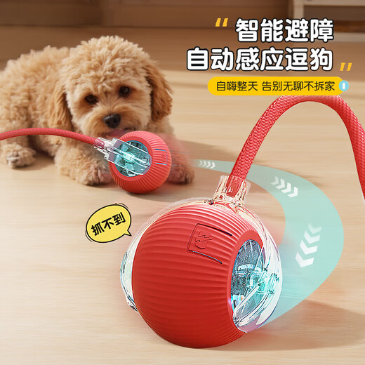 HELLOJOY dog toy bite-resistant ball, automatic dog amusing artifact, self-pleasure and boredom relief pet electric puppy smart elastic dog walking ball