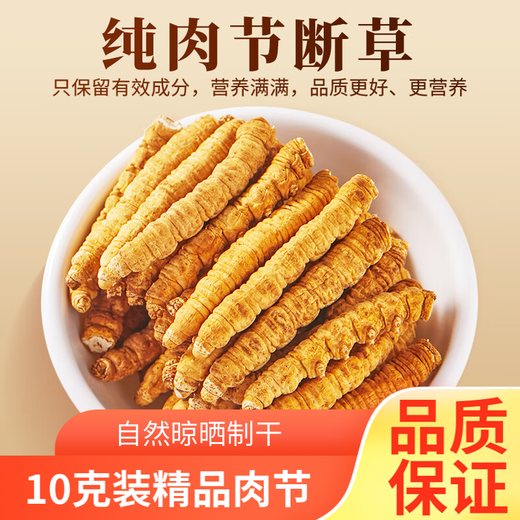 藏区高海拔冬虫夏草 精选大号断虫草滋补佳品 全虫纯肉节10克 精品大号断草【有草头】