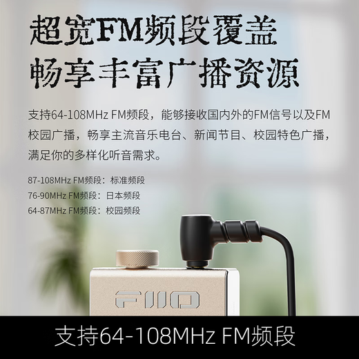 FiiO Portable Rechargeable Lithium Battery Nostalgic Retro Mini Stereo Amplifier FM Radio RR11 Titanium Gold