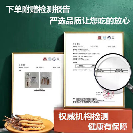 Cordyceps sinensis Tibetan Cordyceps 1 gram high-altitude Cordyceps gift box in high-altitude Cordyceps sinensis dry goods good gifts 3 gram 1 gram - 10 bottles