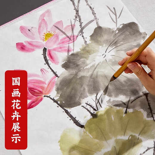 Liupin Academy Liupintang rice paper painting white calligraphy painting art students a4 special paper practice blank elementary school students kindergarten art students special