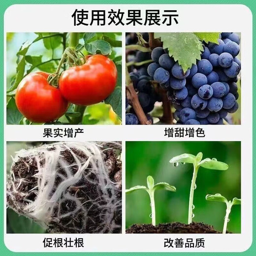900 pieces sold in 30 days Potassium dihydrogen phosphate national standard original foliar fertilizer phosphate fertilizer potassium fertilizer vegetable fruit tree flowers 50Jin Jin equals 0.5kg Free express delivery to towns