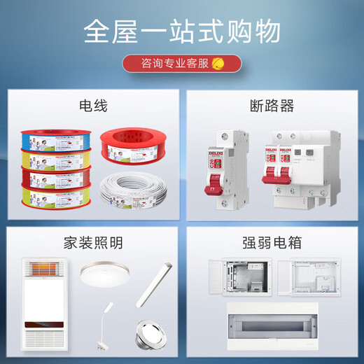 德力西（DELIXI）118型开关插座面板拼装大板CD691星辉银十五孔墙壁插座 118型十孔