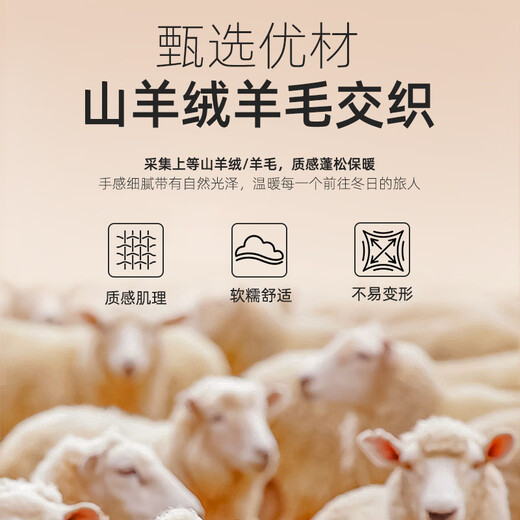 YOUNGOR Coat Men's Autumn and Winter Young Men's Coat Wool Cashmere Fabric Goose Down Liner Business Coat Brown VYSY01N152WXY L 175/96A