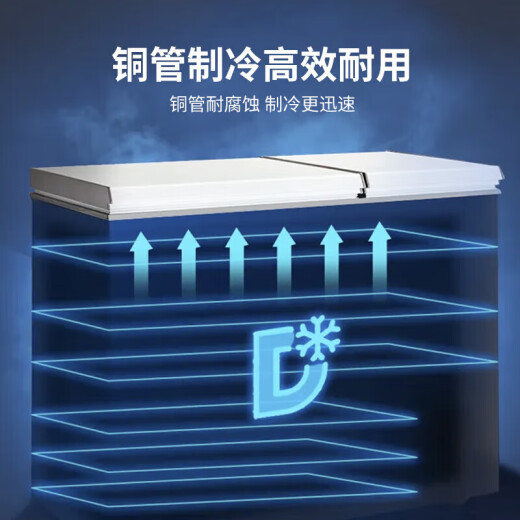 荣事达688商用家用卧式大冷柜大容量 冷藏冷冻转换冰柜商用小型单温冰箱全冷冻柜 一级能效 【1.8米长 718双门冰柜】一级能效