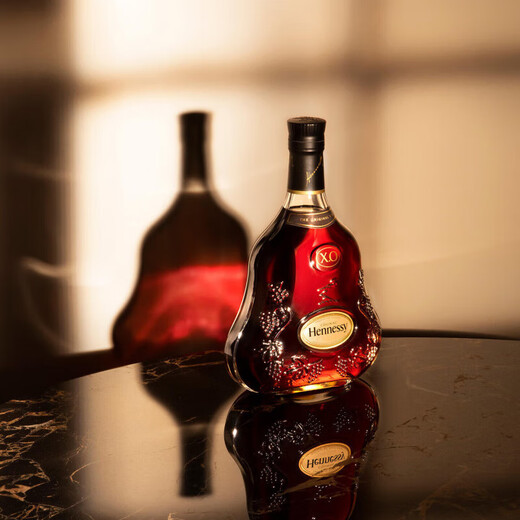 轩尼诗（Hennessy）XO  法国进口 干邑白兰地酒 洋酒烈酒 礼盒装 XO 1000mL 2瓶