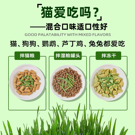 Greedy horse cat grass, lazy cat grass, ready-to-eat dehairing balls, cat snacks, hydroponic instant noodles, summer cat grass, winter style, Aoxue Lingshuang, combination 7 (single bowl), 1 pack