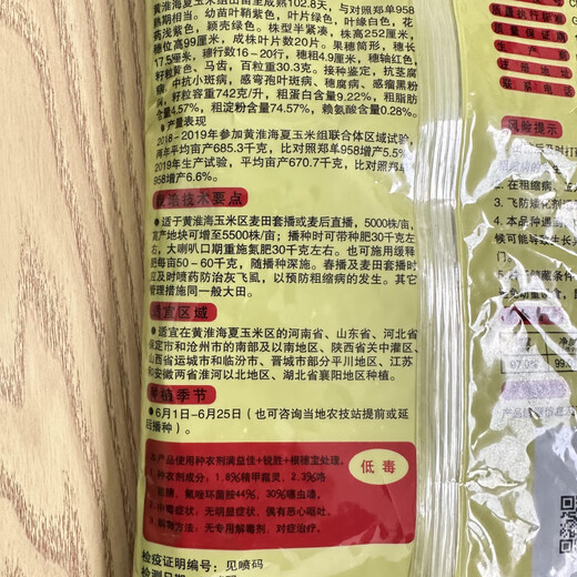 鲁星702玉米种子高抗青枯抗锈病高产抗虫红轴改良基因国审玉米种 登海鲁星7024200粒