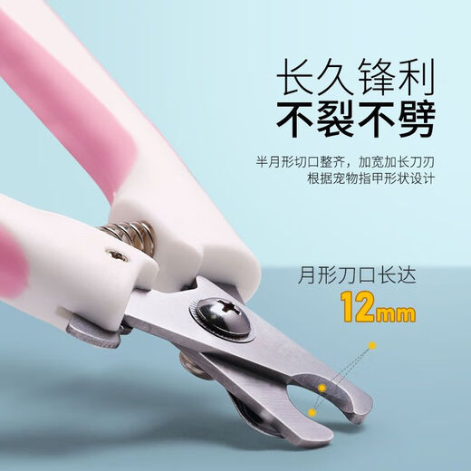 Captain Ban, suitable for novices, pet nail scissors, cat and dog grooming tools and supplies, with file, large sky blue - free file