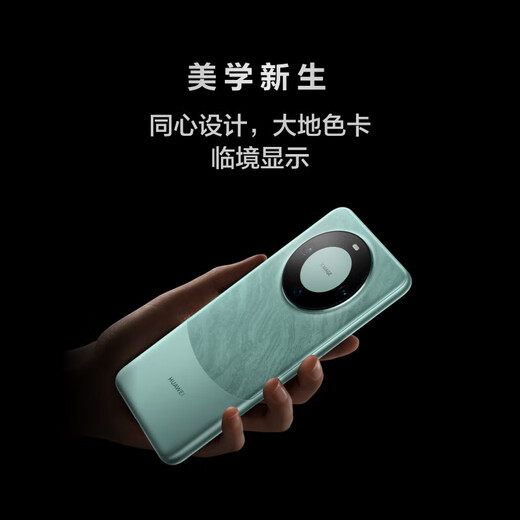 HUAWEI Mate 60 国家补贴【现货当天发】mate60超可靠玄武架构 华为鸿蒙智能手机 白沙银 12GB+512GB