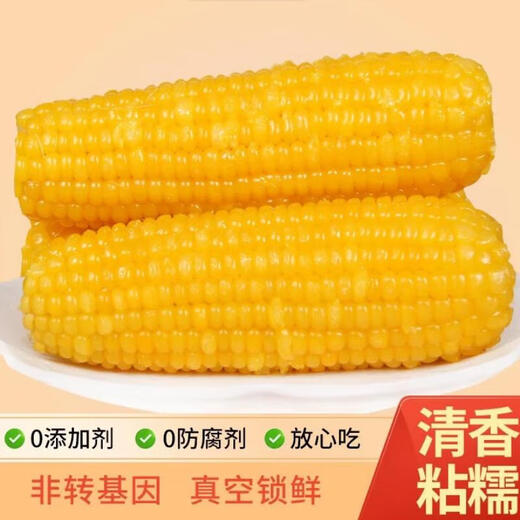 Fresh yellow waxy corn vacuum-packed instant corn low-fat whole grain meal replacement multigrain breakfast affordable 10 sticks 180g-220g/stick