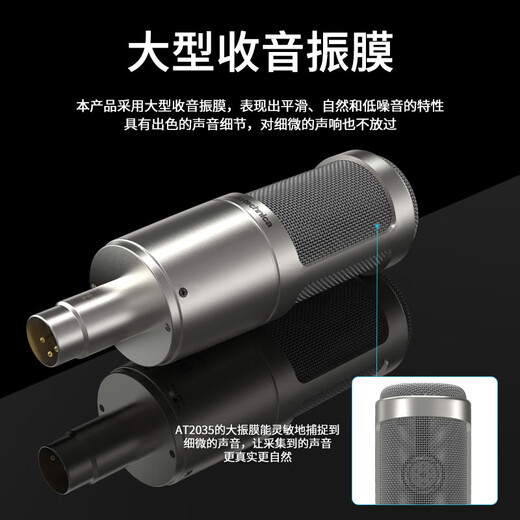 Audio-Technica AT2035 condenser microphone recording studio equipment set professional recording audio novel recording anchor live broadcast full set of computer karaoke external sound card mobile phone microphone AT2035 silver microphone desktop stand model free fine-tuning 3 effects