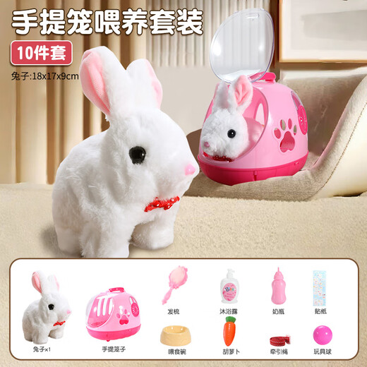 Condira Family Children's House Playing Bunny Doll Toys 3-6 Years Old Girl's Birthday Gift Simulation Animals