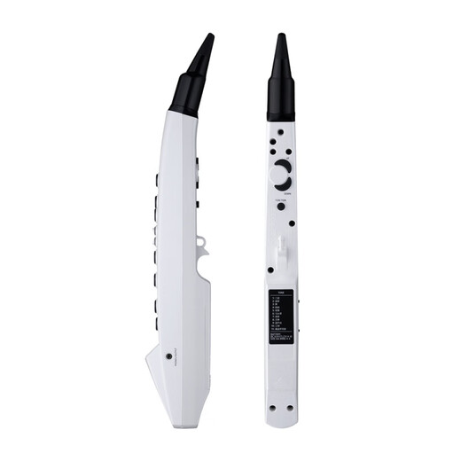 罗兰（Roland）罗兰电吹管乐器AE01ae0501c初学入门电子萨克斯葫芦丝笛子 【】AE-01C(带民族音色)+标配礼