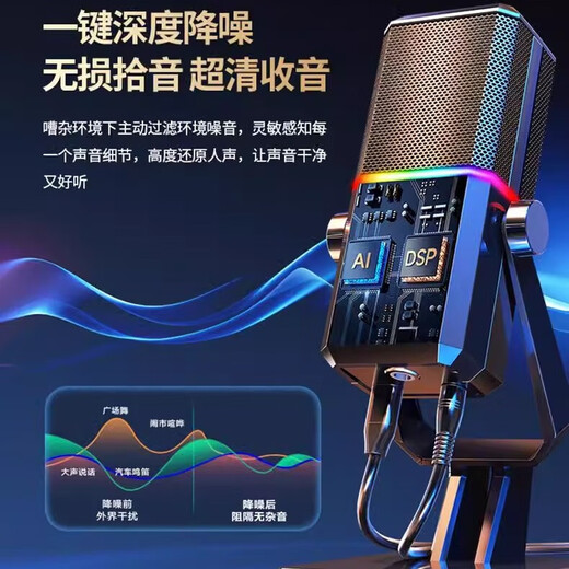 Fashion tribal USB desktop microphone game multimedia cantilever stand computer microphone karaoke microphone noise reduction live sound card voice recording conference microphone wired condenser microphone HK2 black RGB desktop vertical + cantilever dual-use model