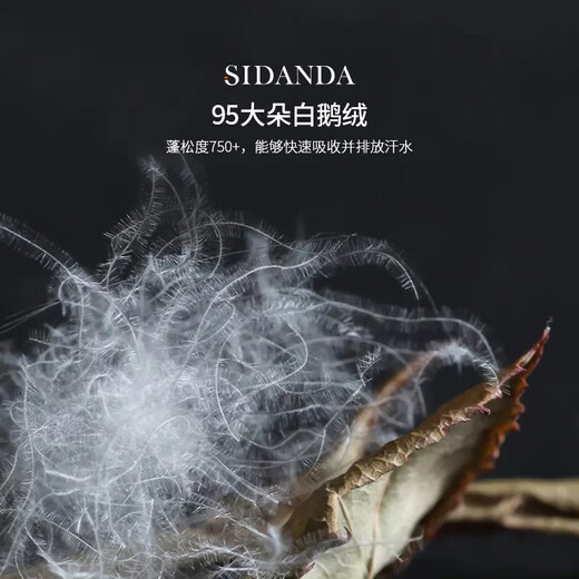 SIDANDA羽绒被95白鹅绒可水洗a类面料填充680g 春秋被200*230cm