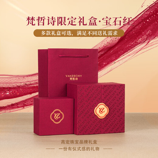 Fanzhe Poetry Möbius Ring Pendant Necklace for Women 2025 New Light Luxury Niche Gift for Girlfriend and Wife Birthday Gift for Girls Shipped from Qicang Platinum/Feather You Accompany Möbius Necklace