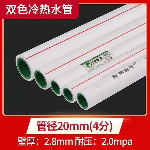 Golden Horn Taurus PPR water pipe hot melt pipe hot and cold water pipe 10 meters two-color 20x2.8mm (2 meters / root x5)