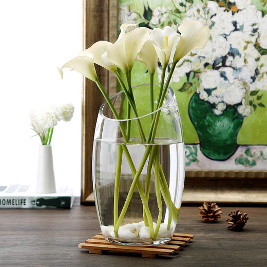 Tongrubi Bureau petit aquarium épaissis épaissis de chair de tortue en verre transparent salon maison de bureau rond mini petit cuve à poisson d'inclinaison 9715