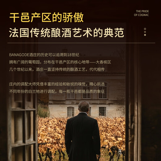 派斯顿法国进口洋酒白兰地XO 40°烈酒 秘密 原酒进口 礼盒展示送礼酒 柏纳佳帝干邑 700mL 1瓶