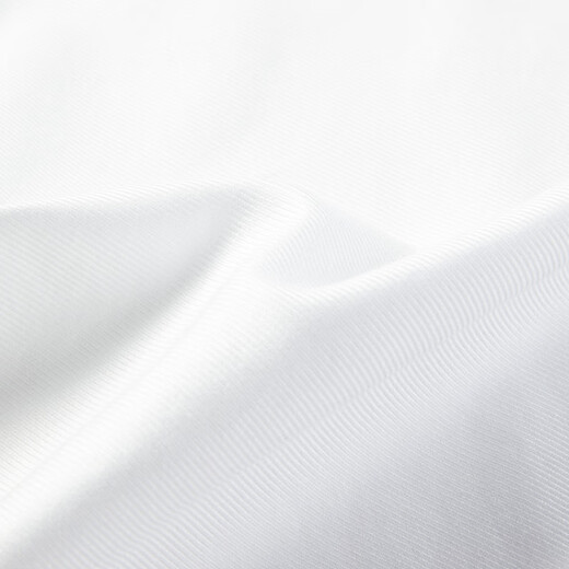 雅戈尔衬衫男TP免烫衬衫春夏青年男长袖衬衫全棉斜纹白衬衫商场同款 漂白素色YLTP110776BBA 40 （175/92A）