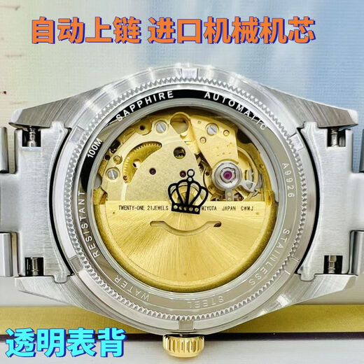 利吉奴品牌皇冠男士全自动机械手表满天星镶钻表防水男士腕表间金钢带 新款满天星-A9926 39mm