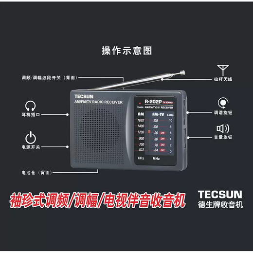 Tecsun R-202P radio portable for the elderly English CET-4 and CET-6 college entrance examination listening test radio mini broadcast semiconductor 202P standard + battery charger + 4 rechargeable batteries