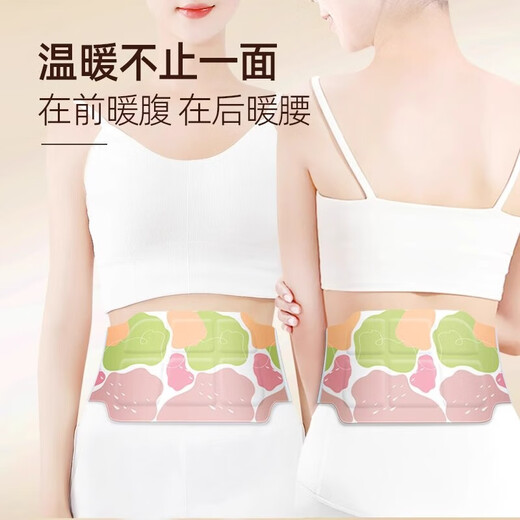 中葆堂(JOBIOTAL)艾草暖腰贴热敷贴暖腰带暖腹贴发热贴6片装