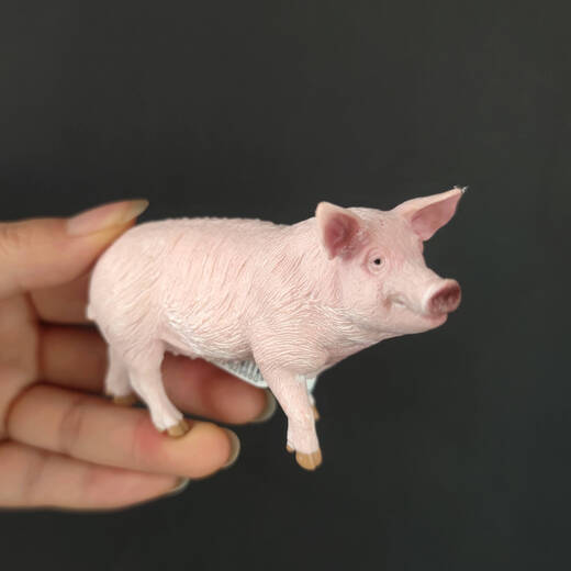 Simuliertes Sau Haus Schwein 13782 Geflügeltiermodell umweltfreundliche PVC -Kinderfüränk