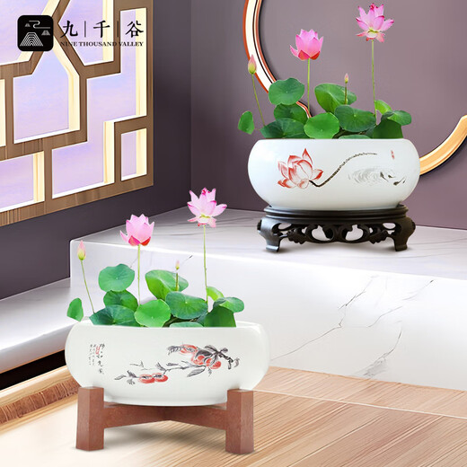 Jiuqianggu Céramique Pot de fleur narcisse bassin eau Lily bol lotus cuivre herbe hydroponique hydroponique fleurs d'élevage de fleurs de fleurs vertes pot avec base 3888