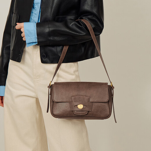 拉菲斯汀金币包新款秋冬包包棕色通勤女包斜挎包腋下包 咖