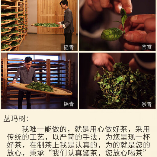 【1047人收藏】武夷山从金骏眉茶叶武夷岩茶正岩肉桂茶老枞水仙奇 五款正岩组合(625克)