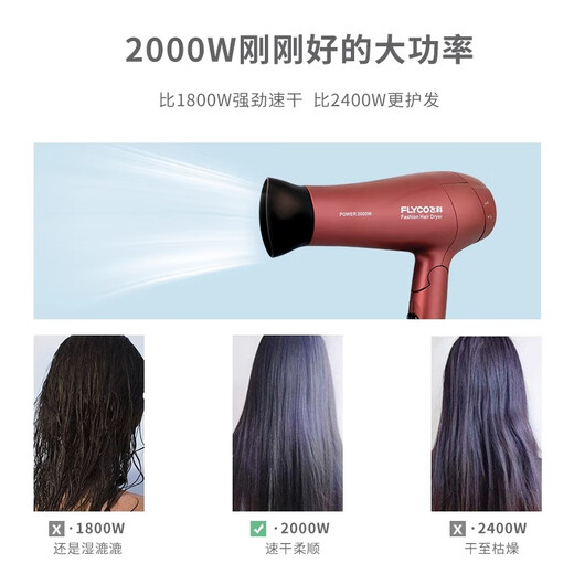 Feike hair dryer for household high-power negative ion soft wind hair care, strong wind light sound quick drying portable foldable hair dryer FH6218 (2000W negative ion hair care)
