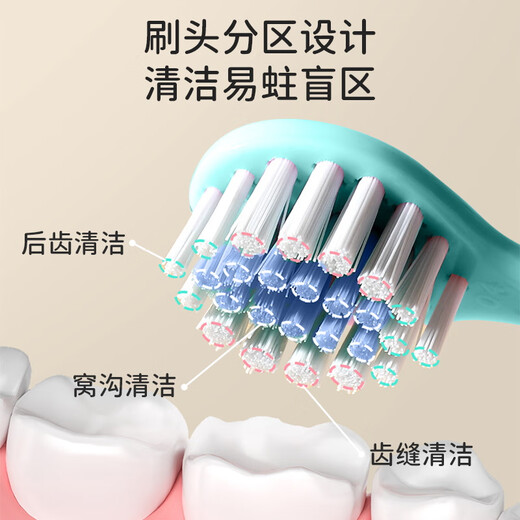 Baoshi Children's Toothbrush Soft Brush Head 3-6-12 Years Old Deciduous Teeth Oral Cleansing Training Anti-Slip Handle-4 Set