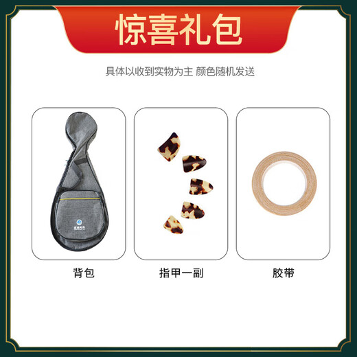 星海琵琶弹拔乐器专业考级演奏琵琶民族乐器 8901 硬木