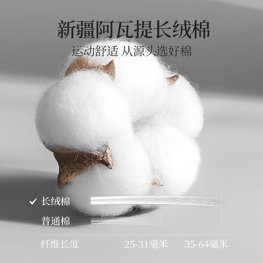 Goldlion socks men's 7A antibacterial and deodorant pure cotton men's socks Xinjiang cotton socks autumn and winter sweat-absorbent breathable casual mid-tube socks