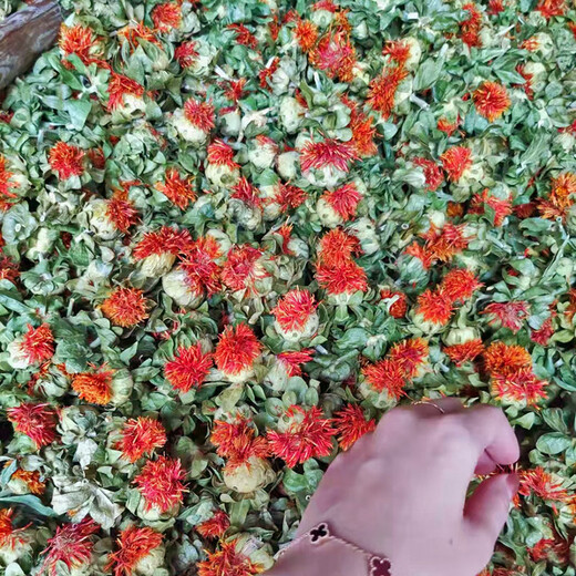 
Beijing Tongrentang saffron fruits, Western Regions, wild saffron, fresh dried saffron, 500g, sulfur-free safflower, health flower, tea 250g