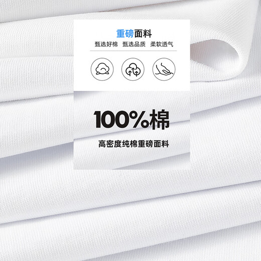 班尼路（Baleno）2025新款国潮短袖男夏季重磅纯棉t恤男士五分袖宽松透气上衣男款