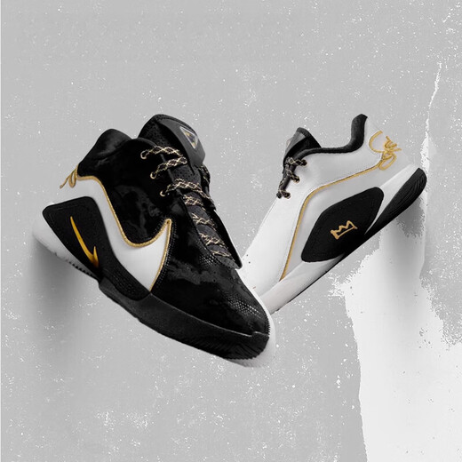 Nike (Nike) LeBron22 James Shoes de baloncesto prácticos de baloncesto para hombres FZ1095HV8456 FZ1098-100 42.5