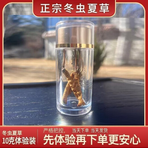 Аутентичные Cordyceps Sinensis Первый период выбрали питательные сухие товары Два грамма подарочных коробки для подарков и питательных тоников Cordyceps, подлинные Cordyceps sinensis в тибетских районах, 50 грамм