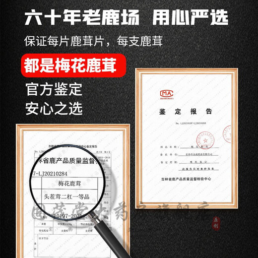 鲜梅花鹿茸 整枝可切片 2024新割头茬含血二杠 泡酒煲汤炖菜均可 【优质鲜鹿茸695克一支】