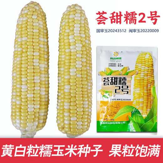 Dao Yufeng Agriculture National Approved Желтые и белые зернистые семена кукурузы воскового цвета Huitiannuo № 2 Свежая восковая кукуруза в оригинальной заводской упаковке Huitiannuo № 2 Желтые и белые зернистые семена кукурузы 1 пакетик по 100 г/пакет