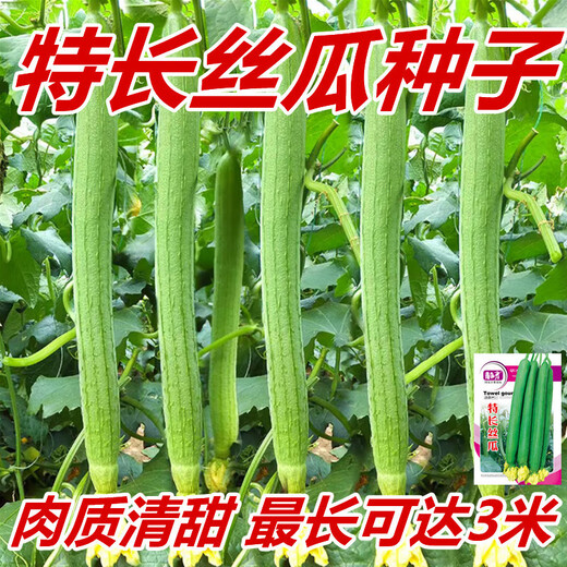 Long luffa seeds are planted in all seasons, early maturing snake-shaped luffa garden pots contain luffa, meat and vegetable seeds. The flesh is sweet. Long luffa seeds are planted all year round. Original 100 capsules. 95% selected.