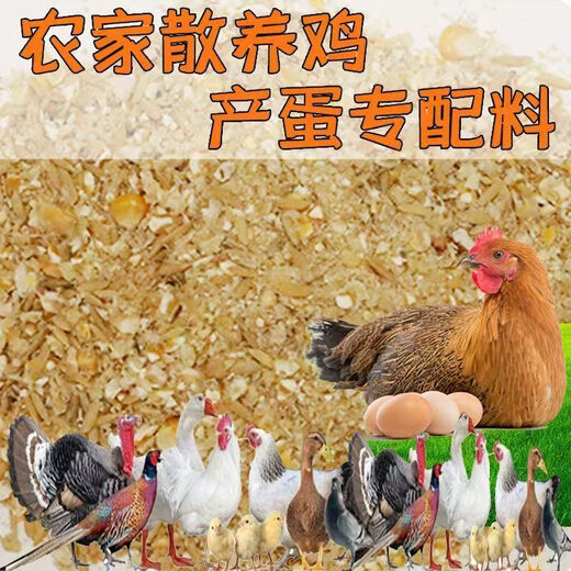 Factory direct sales 80 Jin Jin equals 0.5 kg layer hen feed for hens, egg laying broiler fattening pellets, full price nesting breeding special 10 Jin Jin equals 0.5 kg layer hen feed