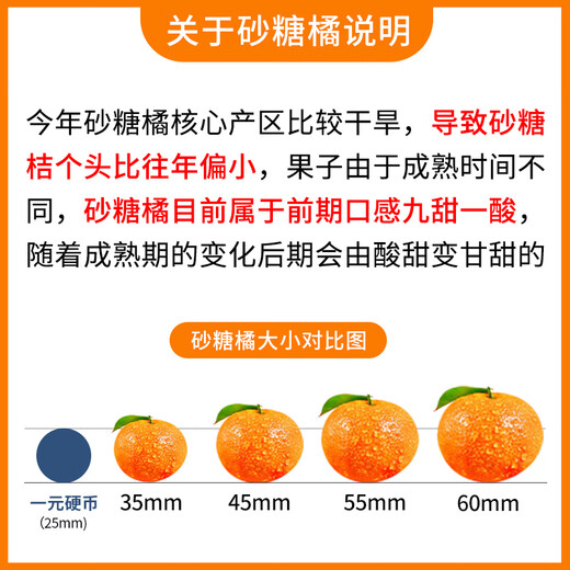 Jingxiansheng Guangxi Lipu Sugar Orange Net weight 4.5Jin Jin equals 0.5kg Single fruit 35-45mm New Year’s fruit Straight from the source